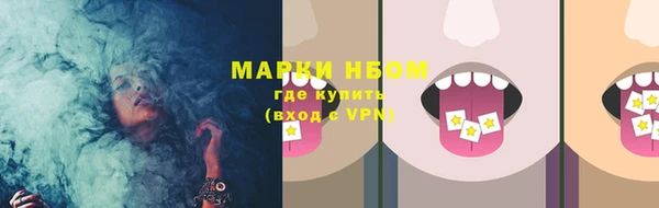 стаф Каменногорск