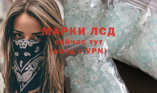 стаф Каменногорск
